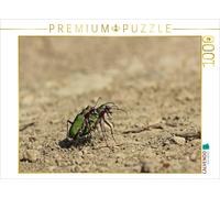 CALVENDO Puzzle Bécasseau Variable (Cicindela campestris) en Train de s'accoupler 1000 Pieces 64 x 48 cm from Christine Schmutzler-Schaub