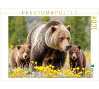 Puzzle CALVENDO Une excursion printanière | 1000 pièces, format assemblé 64 × 48