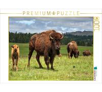 CALVENDO Puzzle Bison Familie im Custer State Park 1000 Teile Puzzle quer 1000 Pieces 64 x 48 cm from Dieter Wilczek