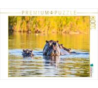 Puzzle · Une Famille d'hippopotames | 1000 pièces · Format assemblé 64 × 48 cm · CALVENDO Puzzle