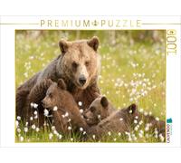 Puzzle CALVENDO Une famille d'ours - Finlande | 1000 pièces, format assemblé 64
