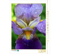 CALVENDO Puzzle Fleur d'iris onirique 1000 Pieces 48 x 64 cm from Martina Cross