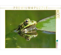CALVENDO Puzzle Grenouille se reflétant dans l'eau 1000 Pieces 64 x 48 cm from Claudia Schimmack