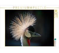 Puzzle CALVENDO Une grue à couronne fière. | 1000 pièces, format assemblé 64 × 4
