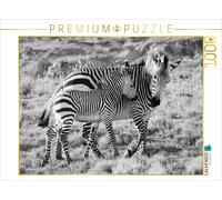 CALVENDO Puzzle Afrique du SUD HARTMANNS Mountain Zebras en Noir ET Blanc 1000 Pieces 64 x 48 cm from Thula