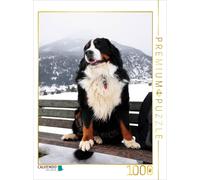 CALVENDO Puzzle Ein Motiv aus dem Kalender BÄR - Der Berner Sennenhund | 1000 Te