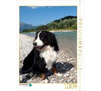 CALVENDO Puzzle BÄR - Le Bouvier Bernois 1000 Pieces 48 x 64 cm from Sonja Brenner