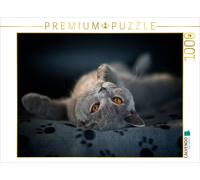 Puzzle CALVENDO Une illustration tirée du calendrier « Bärige Schmusetiger » - B