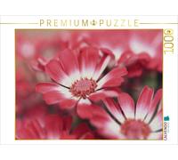 CALVENDO Puzzle Beautés Florales 1000 Pieces 64 x 48 cm from ralf Guenther