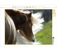 Puzzle CALVENDO Une illustration tirée du calendrier « Beautés Haflinger » | 100