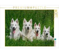 CALVENDO Puzzle Berger Blanc Suisse 1000 Pieces 64 x 48 cm from Sista-Tierfoto