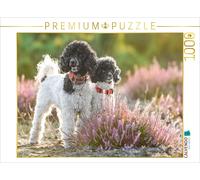 CALVENDO Puzzle EIN Motiv aus dem Kalender Gut geplant - mit Hunden durch´s Jahr 1000 Teile Puzzle quer 1000 Pieces 64 x 48 cm from boegau