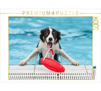 CALVENDO Puzzle EIN Motiv aus dem Kalender Gut geplant - mit Hunden durch´s Jahr 1000 Teile Puzzle quer 1000 Pieces 64 x 48 cm from boegau