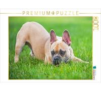 Puzzle CALVENDO Une illustration tirée du calendrier « Bouledogues français - De