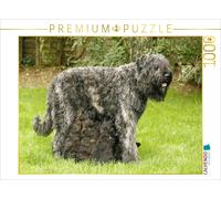 CALVENDO Puzzle Bouvier des Flandres 1000 Pieces 64 x 48 cm from Susan Milau