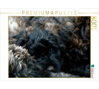 CALVENDO Puzzle Bouvier des Flandres 1000 Pieces 64 x 48 cm from Susan Milau