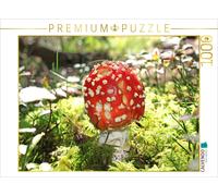 CALVENDO Puzzle Champignons et Champignons 1000 Pieces 64 x 48 cm from Christa Kramer