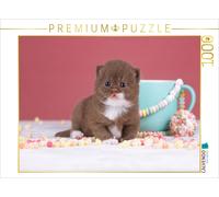 Puzzle CALVENDO Une illustration tirée du calendrier « Chats bébés » - British S