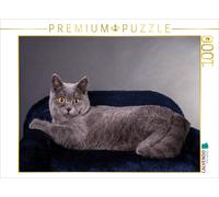 Puzzle CALVENDO Une illustration tirée du calendrier « Chats British Shorthair »