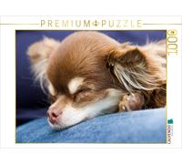 Puzzle CALVENDO Une illustration tirée du calendrier « Chihuahuas - les petits b