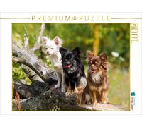 Puzzle CALVENDO Une illustration tirée du calendrier « Chihuahuas - les petits b