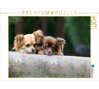 Puzzle CALVENDO Une illustration tirée du calendrier « Chihuahuas - les petits b