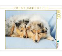 CALVENDO Puzzle Chiots Colley - Les Petits Collies conquièrent Le Monde 1000 Pieces 64 x 48 cm from Sista-Tierfoto