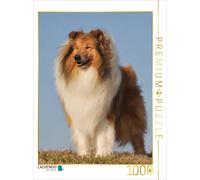 Puzzle CALVENDO Une illustration tirée du calendrier Collie 2017 | 1000 pièces,