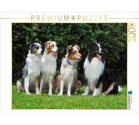 CALVENDO Puzzle An image from the calendar Well-Known as a Colorful Dog. Austr