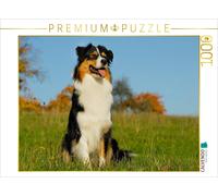 CALVENDO Puzzle Connu comme Un Chien coloré. Berger Australien - Planificateur Familial Haut 1000 Pieces 64 x 48 cm from Sista-Tierfoto