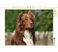 CALVENDO Puzzle Connu comme Un Chien coloré. Berger Australien - Planificateur Familial Haut 1000 Pieces 64 x 48 cm from Sista-Tierfoto