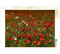Puzzle CALVENDO Une illustration tirée du calendrier « Coquelicots rouges, prair