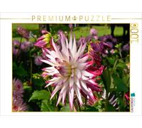 Puzzle CALVENDO Une illustration tirée du calendrier « Dahlias » - élégante et b