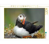 CALVENDO Puzzle par Babett Paul - Les macareux : de Petits Oiseaux très Grands ! 1000 Pieces 64 x 48 cm from Babett''s Bildergalerie