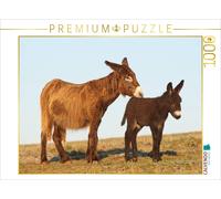 CALVENDO Puzzle EIN Motiv aus dem Kalender Zauberhafte Esel 1000 Teile Puzzle quer 1000 Pieces 64 x 48 cm from Meike Bölts