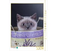 Puzzle CALVENDO Une illustration tirée du calendrier des chats British Shorthair