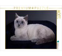 CALVENDO Puzzle Chats British Shorthair 1000 Pieces 64 x 48 cm from WEH-zet