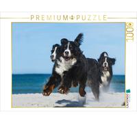 Puzzle CALVENDO Une illustration tirée du calendrier du bouvier bernois 2017 | 1
