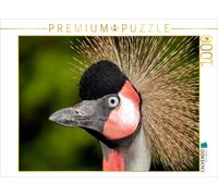 Puzzle CALVENDO Une illustration tirée du calendrier du Weltvogelpark Walsrode -