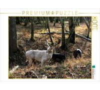 Puzzle CALVENDO Une illustration tirée du calendrier « En balade dans le parc an