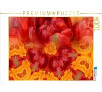 CALVENDO Puzzle EIN Motiv aus dem Kalender Tulpenphantasie 1000 Teile Puzzle quer 1000 Pieces 64 x 48 cm from Renate Grobelny