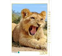CALVENDO Puzzle FAZINATION Africa Portraits d'animaux 1000 Pieces 48 x 64 cm from Thula