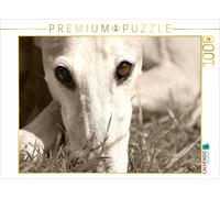 Puzzle CALVENDO Une illustration tirée du calendrier « Galgo eye-catcher » | 100