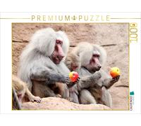 Puzzle · Une Illustration tirée du Calendrier « Ganz schön affig | Le calendrier des singes · 1000 pièces · Format assemblé 64 × 48 cm · CALVENDO Puzzle