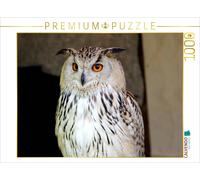 Puzzle CALVENDO Une illustration tirée du calendrier « Hiboux et chouettes » | 1