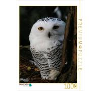 Puzzle CALVENDO Une illustration tirée du calendrier « Hiboux et chouettes » | 1