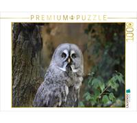 Puzzle CALVENDO Une illustration tirée du calendrier « Hiboux et chouettes » | 1