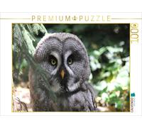 Puzzle CALVENDO Une illustration tirée du calendrier « Hiboux et chouettes » | 1
