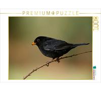 CALVENDO Puzzle INNE BOTANIK - Les Oiseaux dans la vallée de la Ruhr 1000 Pieces 64 x 48 cm from Alexander Krebs