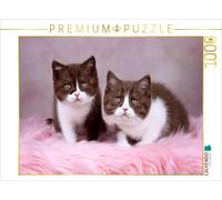Puzzle CALVENDO Une illustration tirée du calendrier « Kleine Stubenstiger » | 1